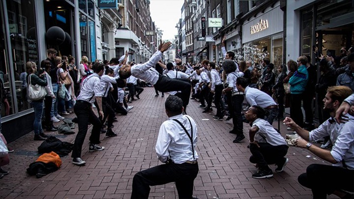 Stoffig Dragende cirkel Zeemeeuw Pandora - Flashmob - Raúl&Rigel