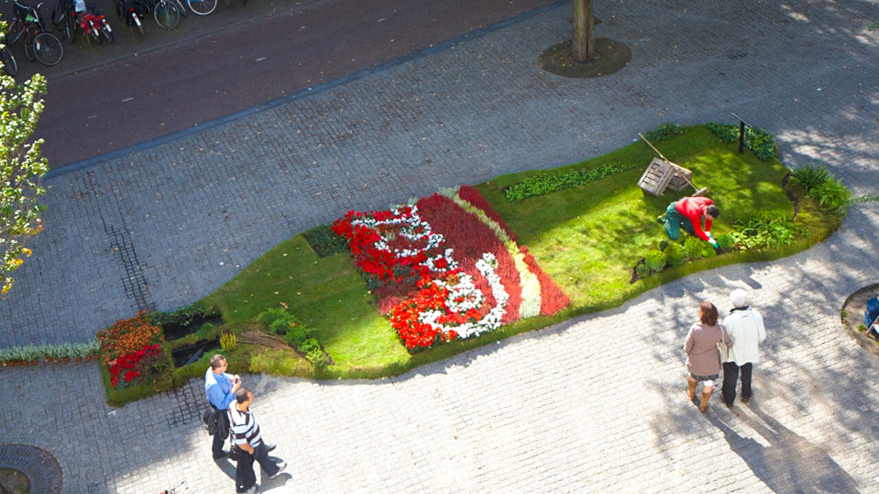 Coca-Cola – Green Art PlantBottle