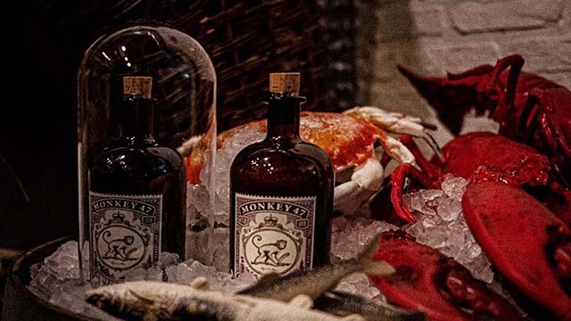 Monkey 47 – Gin Experimentum